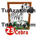 23 - CEBRA