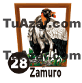 28 - ZAMURO