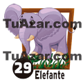 29 - ELEFANTE