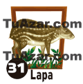 31 - LAPA