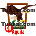  - ÁGUILA