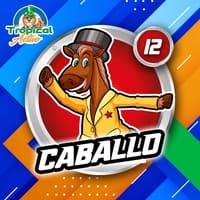 12 - CABALLO