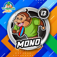13 - MONO