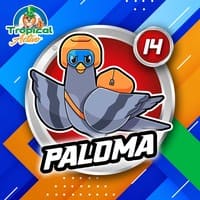 14 - PALOMA