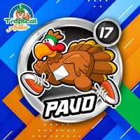 17 - PAVO