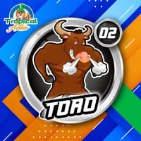 2 - TORO