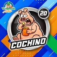 20 - CERDO
