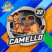 22 - CAMELLO