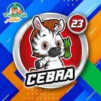 23 - CEBRA