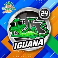 24 - IGUANA