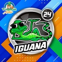 24 - IGUANA