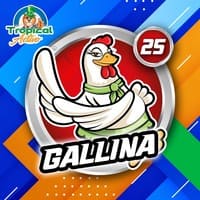 25 - GALLINA