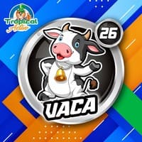 26 - VACA