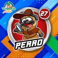 27 - PERRO