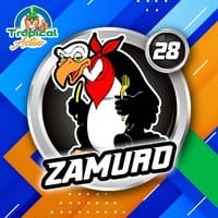 28 - ZAMURO