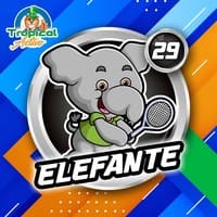 29 - ELEFANTE