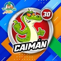 30 - CAIMÁN