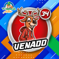 34 - VENADO