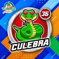36 - CULEBRA