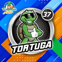 37 - TORTUGA