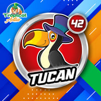 42 - TUCÁN