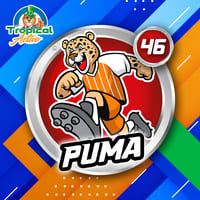 46 - PUMA