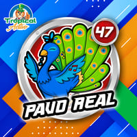 47 - PAVO REAL