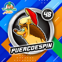 48 - PUERCOESPÍN