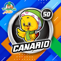 50 - CANARIO