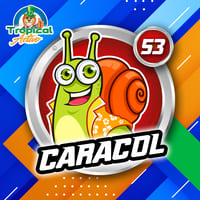 53 - CARACOL