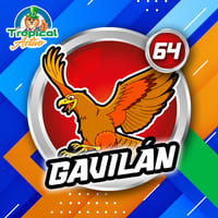 64 - GAVILÁN
