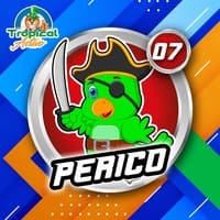 7 - PERICO
