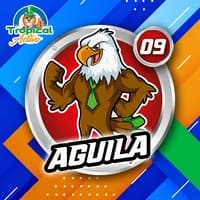 9 - ÁGUILA