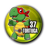 37 - TORTUGA