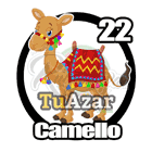 22 - CAMELLO