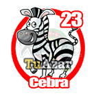 23 - CEBRA