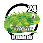 24 - IGUANA