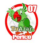 7 - PERICO