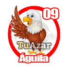 9 - ÁGUILA