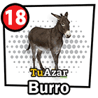 18 - BURRO