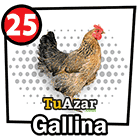  - GALLINA