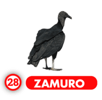  - ZAMURO