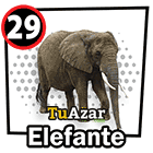  - ELEFANTE