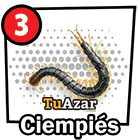 3 - CIEMPIÉS