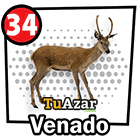  - VENADO