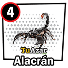 4 - ALACRÁN