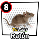  - RATÓN