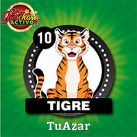  - TIGRE