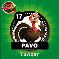 17 - PAVO