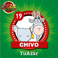  - CHIVO